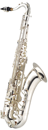 Tenor Saxphone TN-1100S