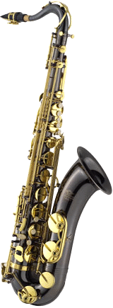 Tenor Saxphone TN-1100B