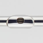 Silver lip-plate 