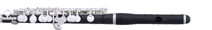 Piccolo 105E