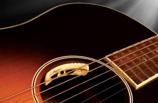 Anthem Acoustic Guitar Pickup & Microphone Control in Soundhole