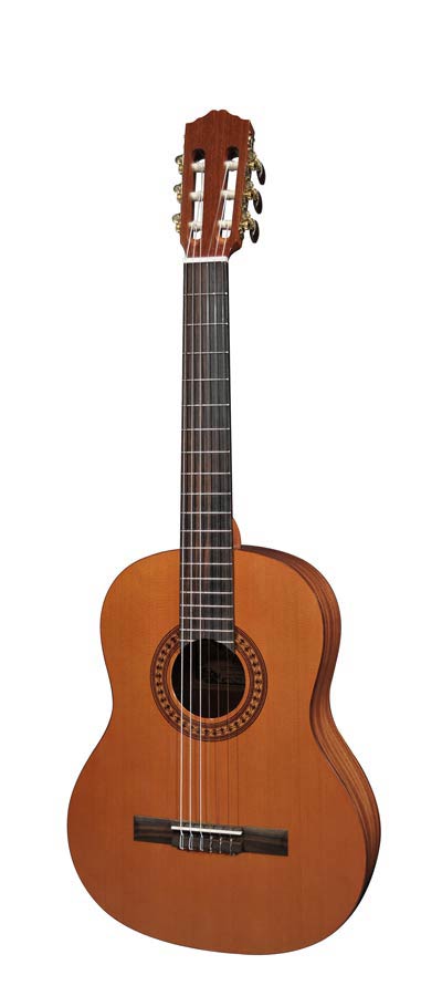 CC 22 JR