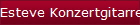Esteve Konzertgitarren