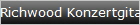 Richwood Konzertgitarren mit Pick UP