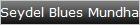 Seydel Blues Mundharmonikas / Blues Harp
