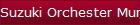 Suzuki Orchester Mundharmonikas / Orchestral Harps
