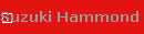 Suzuki Hammond HA-20
