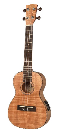 UKC-310 LE