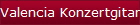 Valencia Konzertgitarren