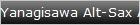 Yanagisawa Alt-Sax A-WO2