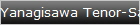 Yanagisawa Tenor-Sax T-WO2