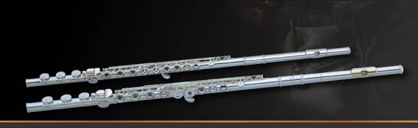 http://www.pearlflutes.de/templates/pearl/upload/afbeeldingen/galerij/Elegante_header1.jpg