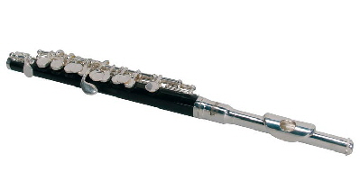 se100s piccolo