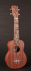 uks 110