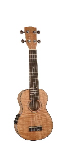 uks310E