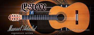 esteve logo
