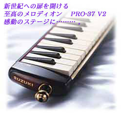 pro37-3