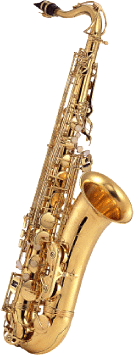 Tenor Saxphone TN-900